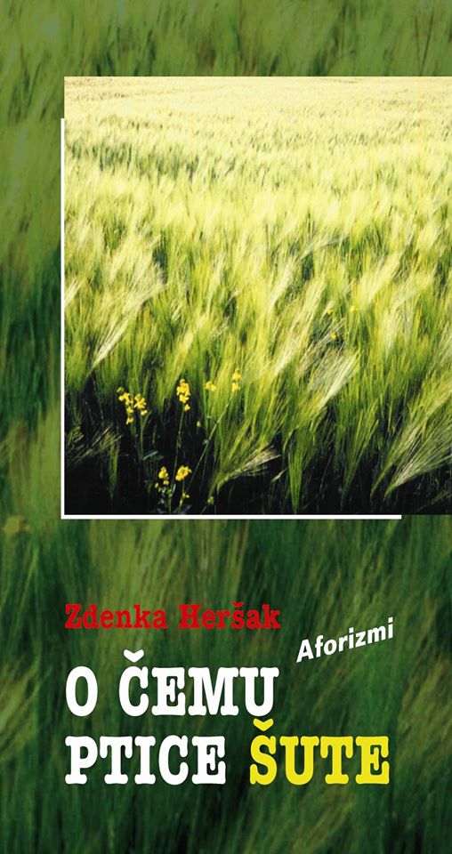 107085630 1966706906796986 6753316794219961350 o