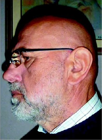 grgo mikulic